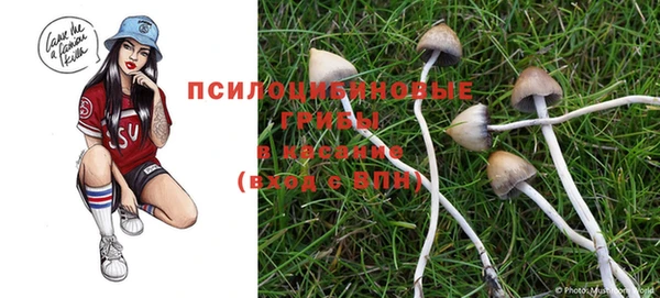 меф Бикин