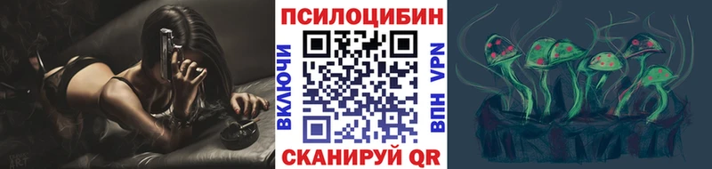 Галлюциногенные грибы Psilocybe где продают наркотики hydra вход Каргополь