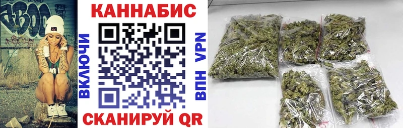 Бошки марихуана конопля  закладки  Каргополь 